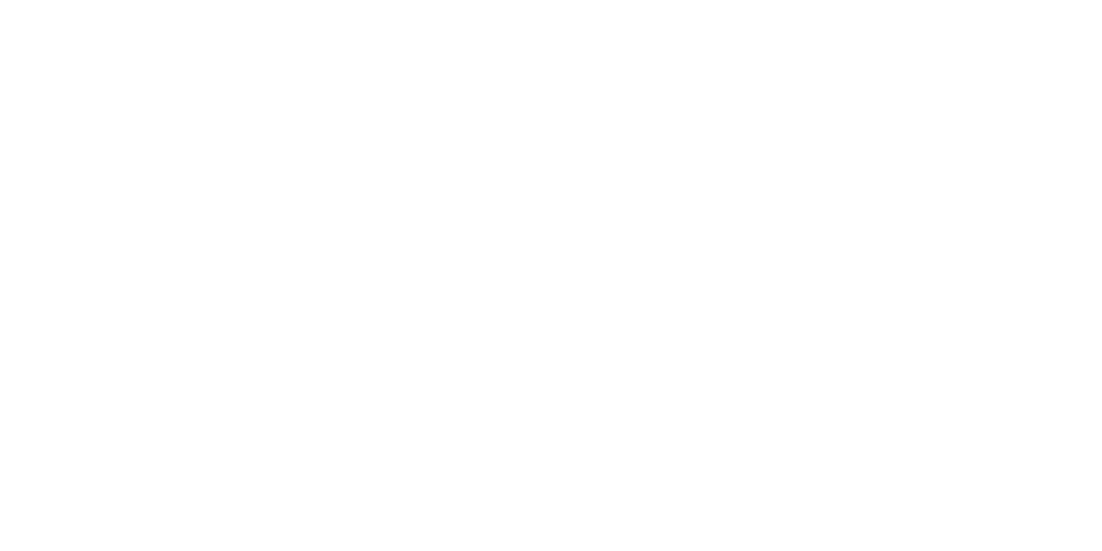 Nicole Szopinski Logo weiß ohne Hintergrund